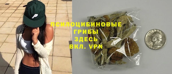 спиды Волоколамск