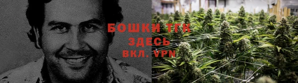 ГАЛЛЮЦИНОГЕННЫЕ ГРИБЫ Володарск